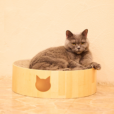 いま住みたい街