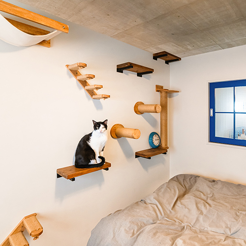 物心ついた時から猫と一緒。フルリノベで叶えた猫と人が心地よく暮らせる場所