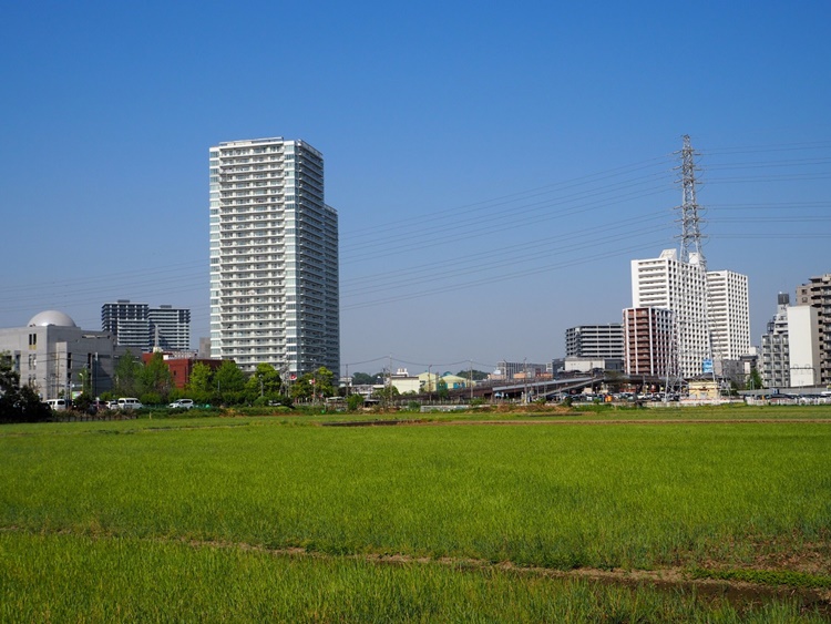 タワーマンションが並ぶすぐそばに、田園風景が広がる海老名駅周辺。