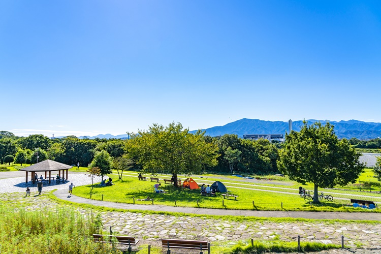 丹沢や大山を望む三川公園。