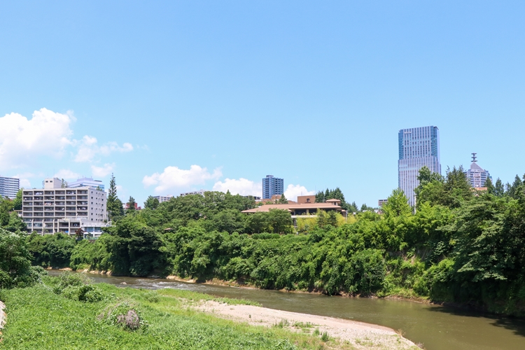霊屋橋から眺めた「杜の都」らしい緑豊かな景観。広瀬川が流れ、高層ビルの後方にJR仙台駅がある
