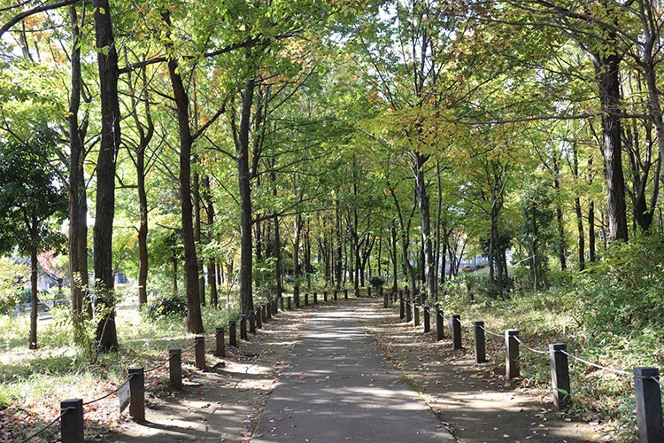浜田山にある柏の宮公園