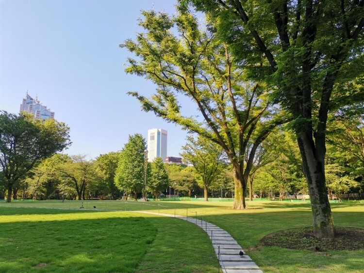 新宿中央公園の芝生広場