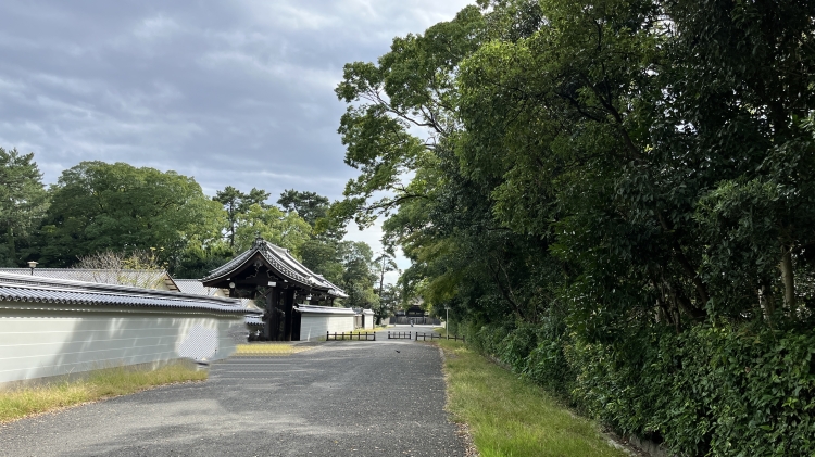 京都御所を囲む広大な京都御苑は日常の散歩に最適
