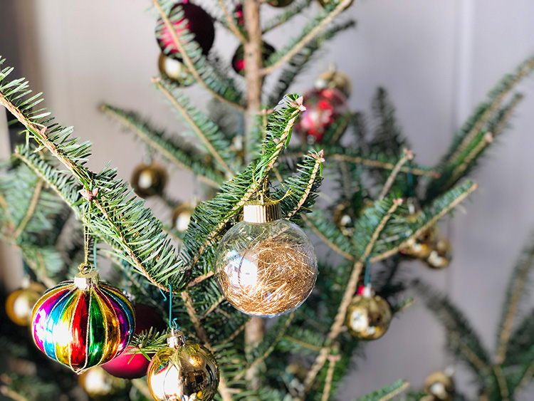毎年やってくるクリスマス。今年は生モミの木のツリーはいかが？