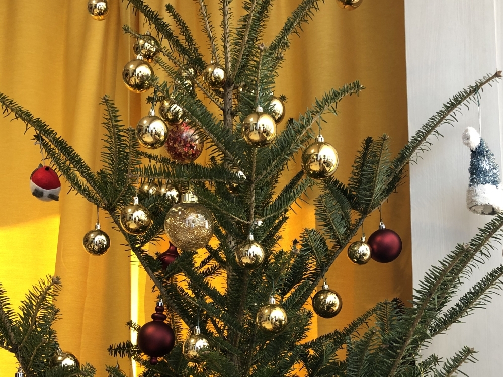 【自腹レビュー】クリスマスはおうちで。IKEAの生モミの木のツリーを飾ってみました。