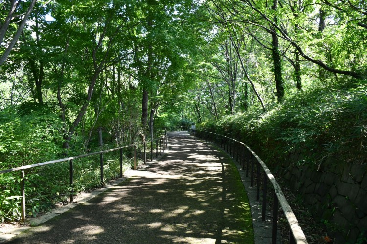 都会にありながら豊かな自然を楽しむことができます。ウォーキングなどにもぴったり
画像提供：東京都北区
