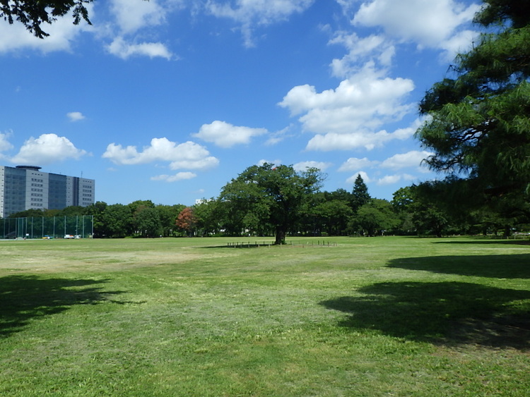 広大な原っぱ広場
写真提供：（公財）東京都公園協会