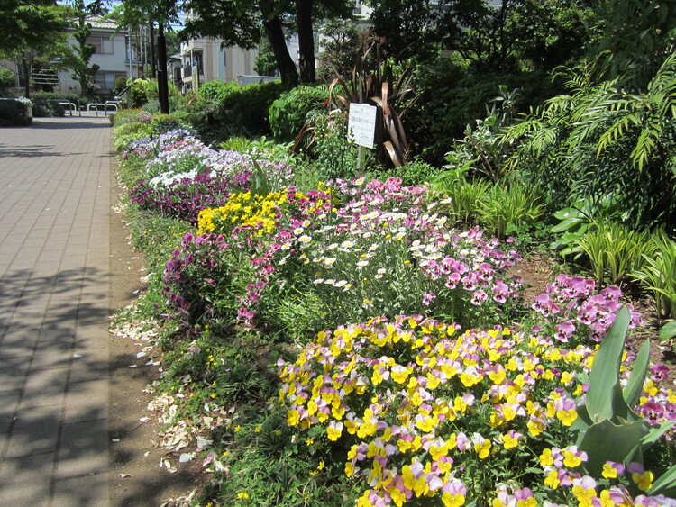 公園のあちこちに咲く花を眺めるのも楽しい
写真提供：（公財）東京都公園協会