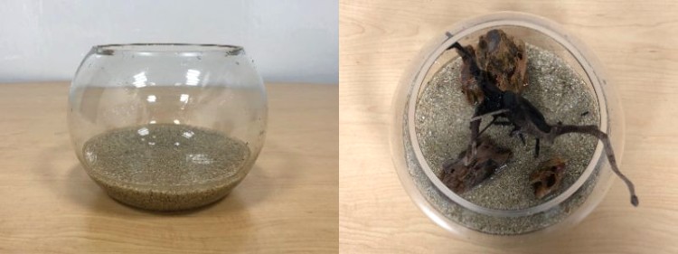 ボトル内の水が濁らないよう砂を洗っておくのがポイント（左）。流木と石をバランスよく並べて（右）