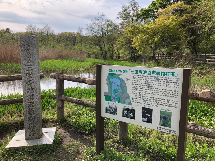 国指定天然記念物の三宝寺池沼沢植物群落の石碑と看板