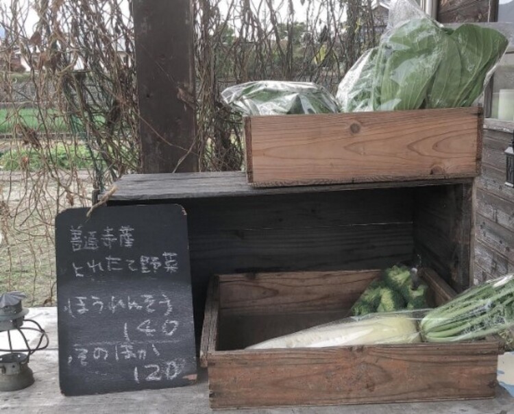 軒先で野菜販売をしているお店も。東京にはない景色にほっこり
