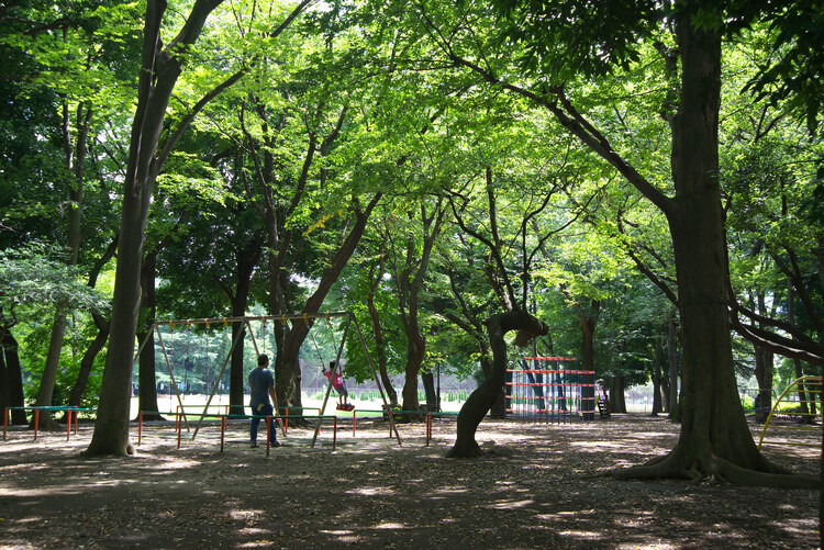 砧公園の「子供の森」