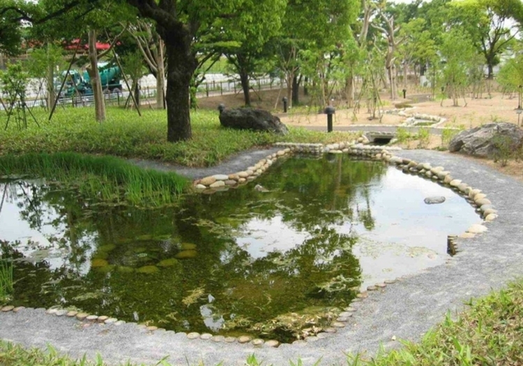 清水緑地 ホタル池