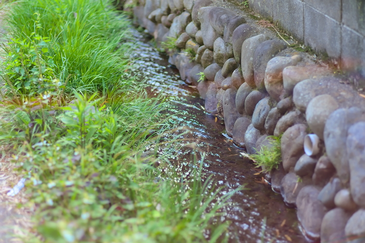 市内に15か所ある湧き水スポットの一つ「鈴鹿の泉湧水」