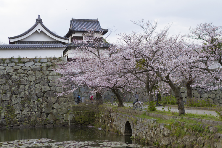 福岡城跡、鴻臚館（こうろかん）跡、運動施設を有する「舞鶴公園」。一年を通して多彩なイベントも催される
写真提供：福岡市