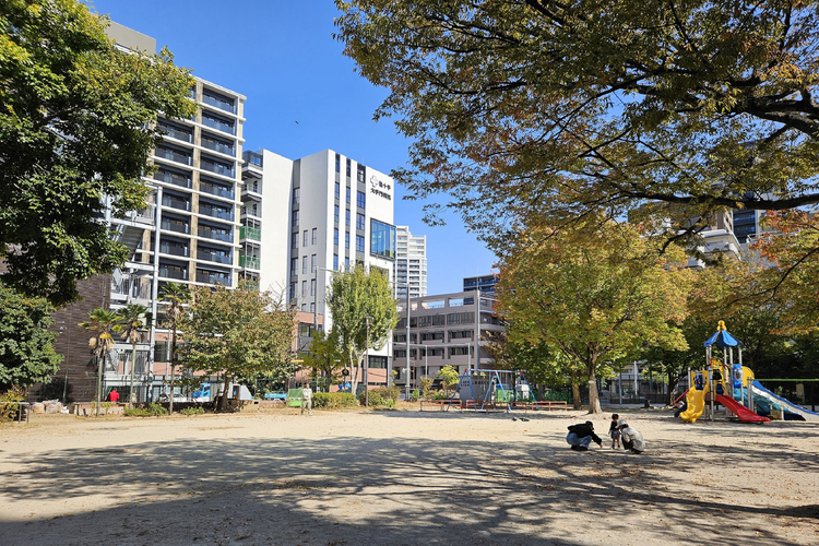 「簀子公園」から見た「りすのこスクエア」（写真中央）。医療と介護を核にしたまちづくりで地域活性化を目指している