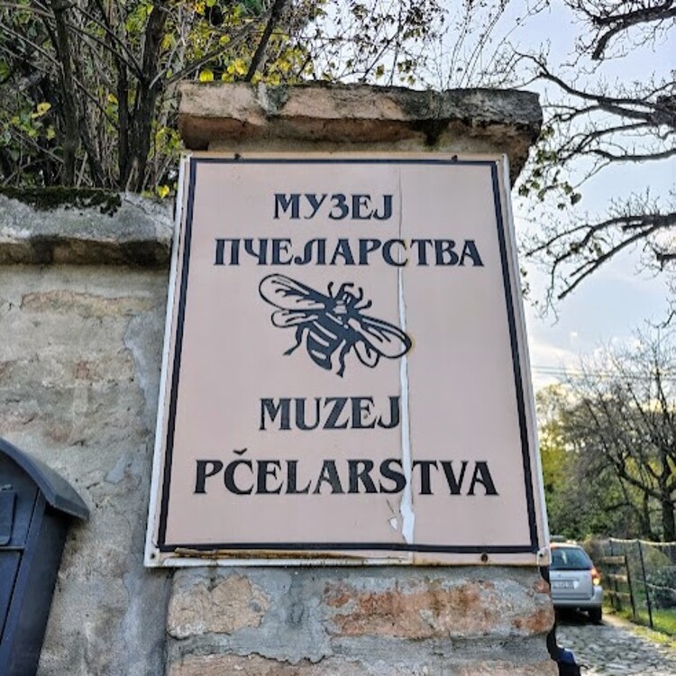セルビアのカルロヴツィという北部の小さな街で養蜂博物館を発見！