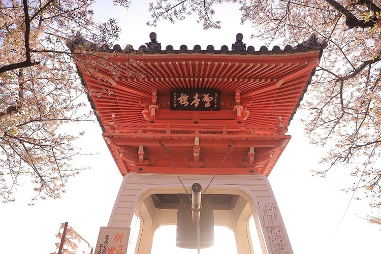 806年に創建され、弘法大使の開基といわれる「千光寺」。桜の季節を楽しみにしている地元の人も多い