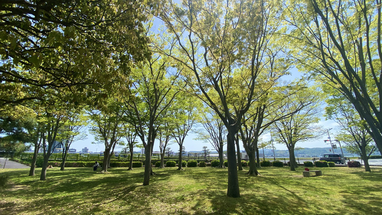松江市役所の正面にある末次公園は、市民に愛されている公園の一つ