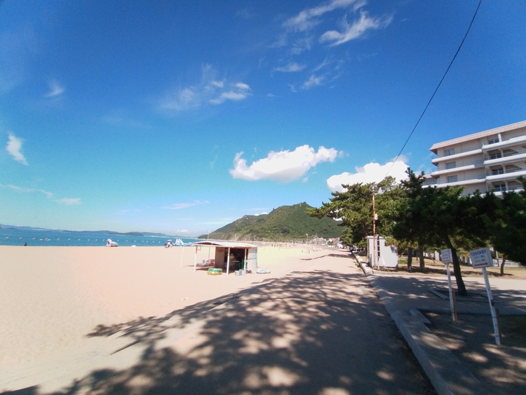 約1kmの白砂青松の海岸線を誇る「渋川海水浴場」は、「日本の渚百選」や「海水浴場百選」にも選ばれている