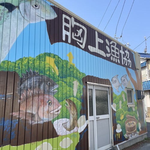 縁あって漁協組合の建物の壁にアートを描く仕事を手掛けた彩子さん