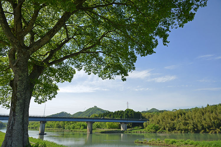 由良川と白瀬橋