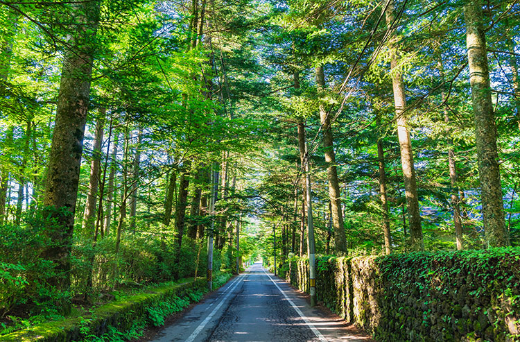 夏の軽井沢の別荘地