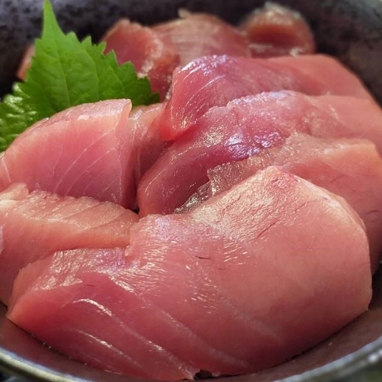 「浜どころ海」で新鮮なマグロ丼やウニ丼を満喫