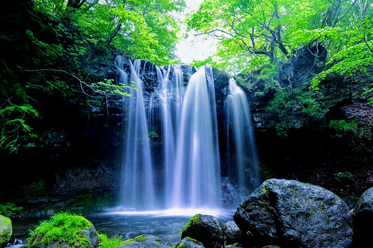 白笹山から流れる沢名川にある「乙女の滝」。落差約10数ｍの美しい滝で、そのいわれは諸説あるそう