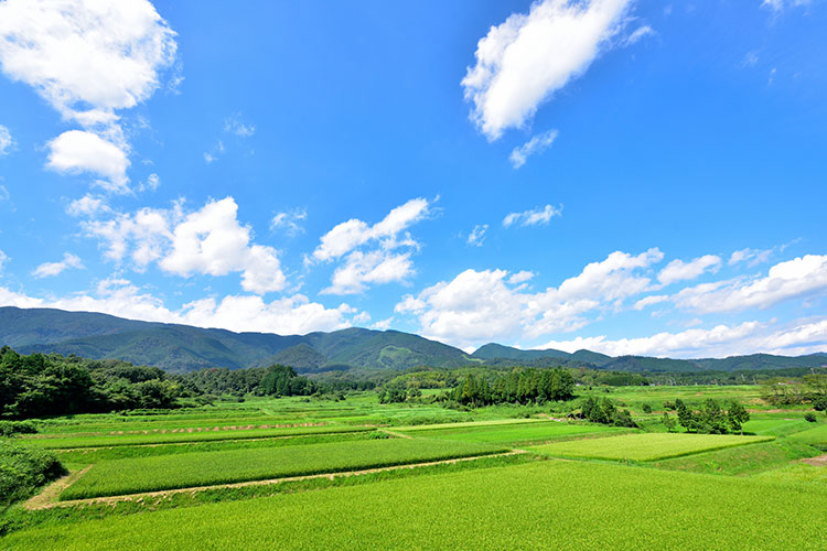 奈義町の田園風景と那岐山