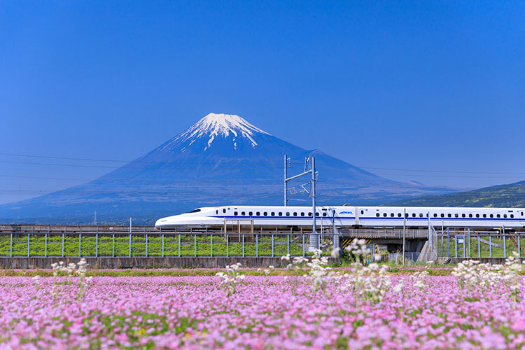 富士山と新幹線