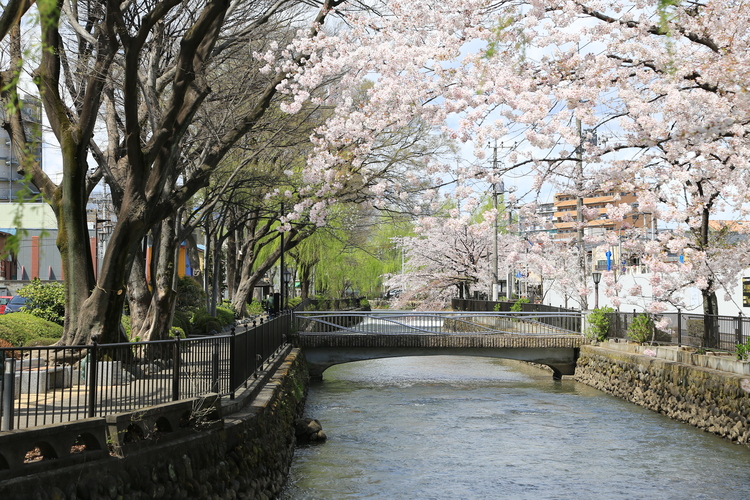 広瀬川
前橋観光コンベンション協会提供