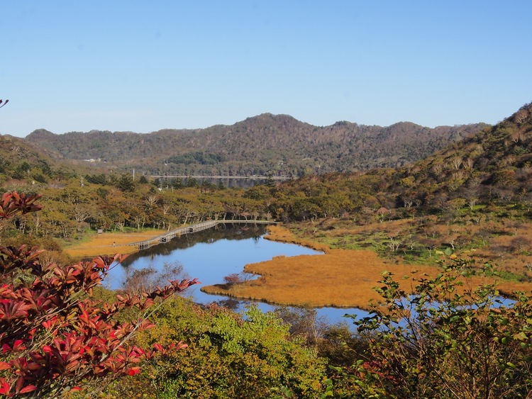 赤城山（覚満淵）
観光ぐんま写真館提供