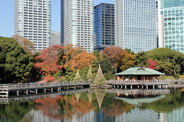 浜離宮恩賜庭園
© （公財）東京観光財団