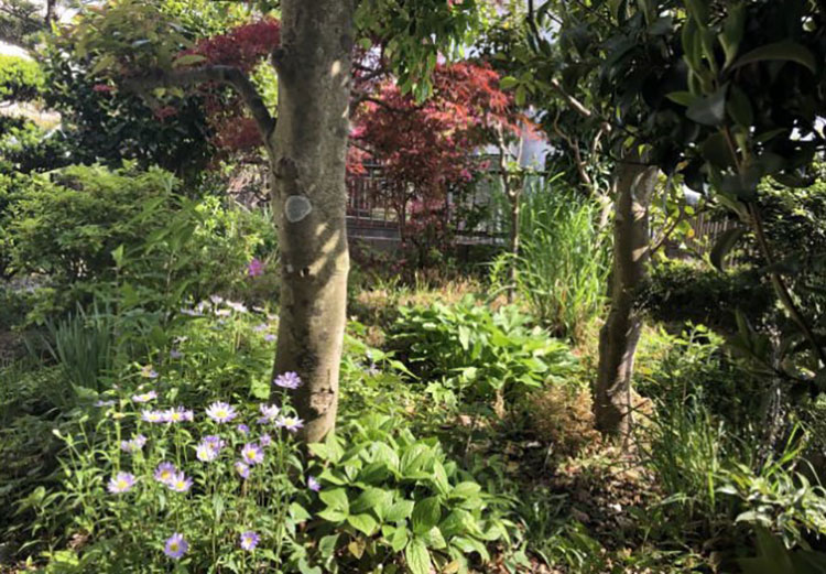 引っ越してきたばかりの頃の庭。小さい庭ではあるものの、夏の草刈りに悩まされたとか