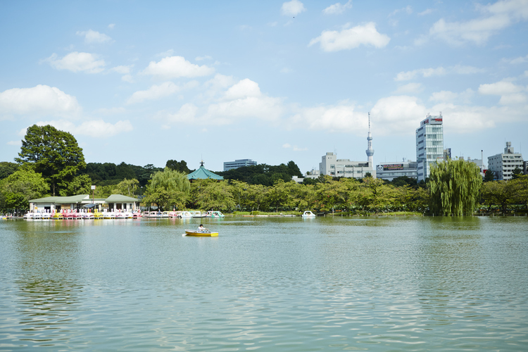 上野恩賜公園（不忍池）
© （公財）東京観光財団