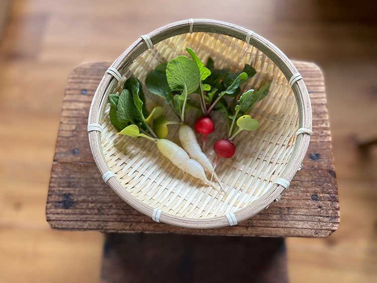 畑では野菜も栽培。愛らしいミニ大根は、ぬか漬けなどにして楽しんでいるそう