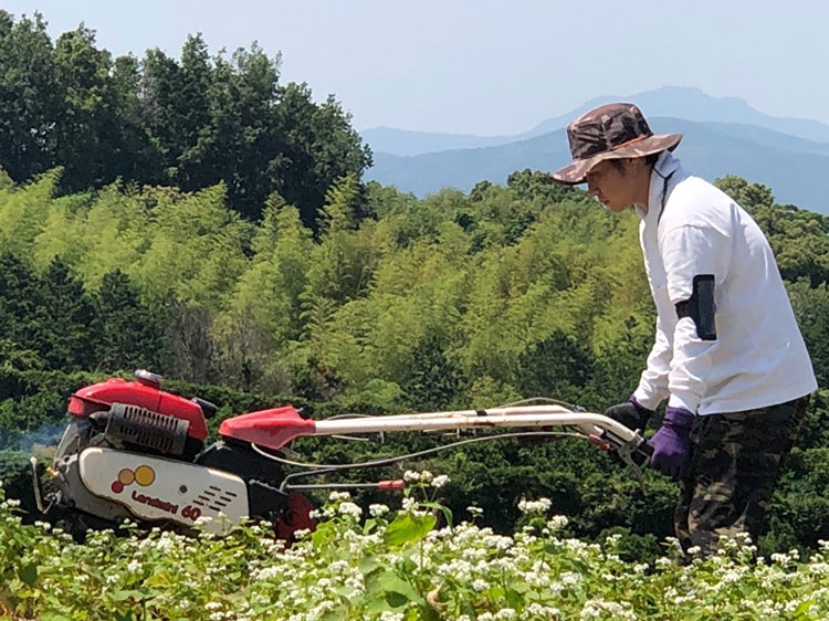 美しい景色の中で、大自然と対峙しながらおいしくて安全なそばづくりを目指す