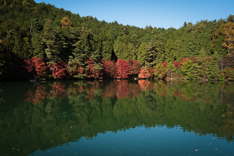 伊那ヶ湖
写真提供：南アルプス市