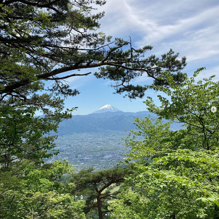 車で1時間足らずの笛吹（ふえふき）市にある兜山。木々の間から顔を見せたのは美しい富士山の姿