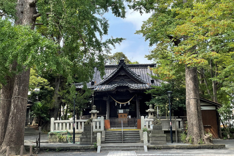 亀岡八幡宮
提供：逗子市観光協会