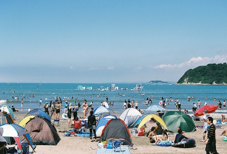 逗子海岸海水浴場
提供：逗子市