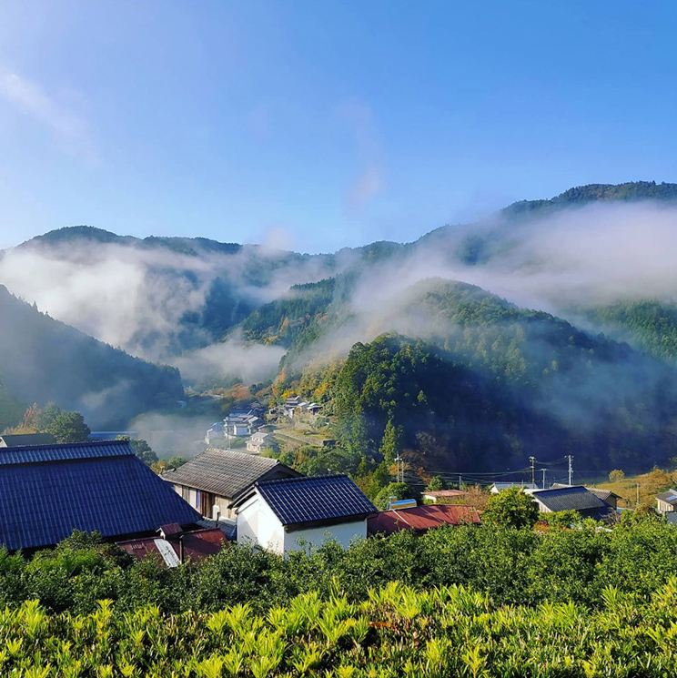 まるでベールをかけたような朝靄が美しく、どこか幽玄な雰囲気さえ漂う山々の姿