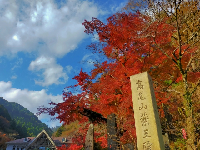 ▲秋になれば紅葉が美しい高尾山