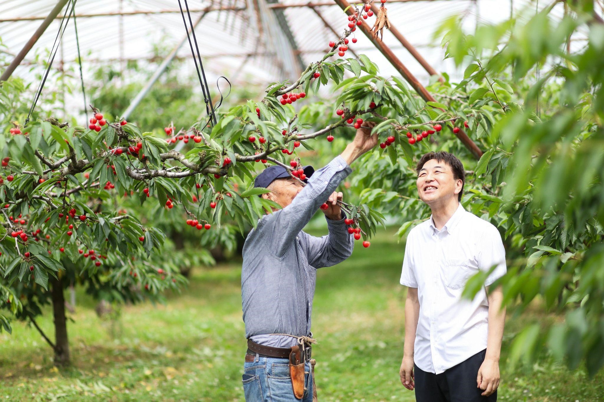 画像提供：株式会社 清川屋