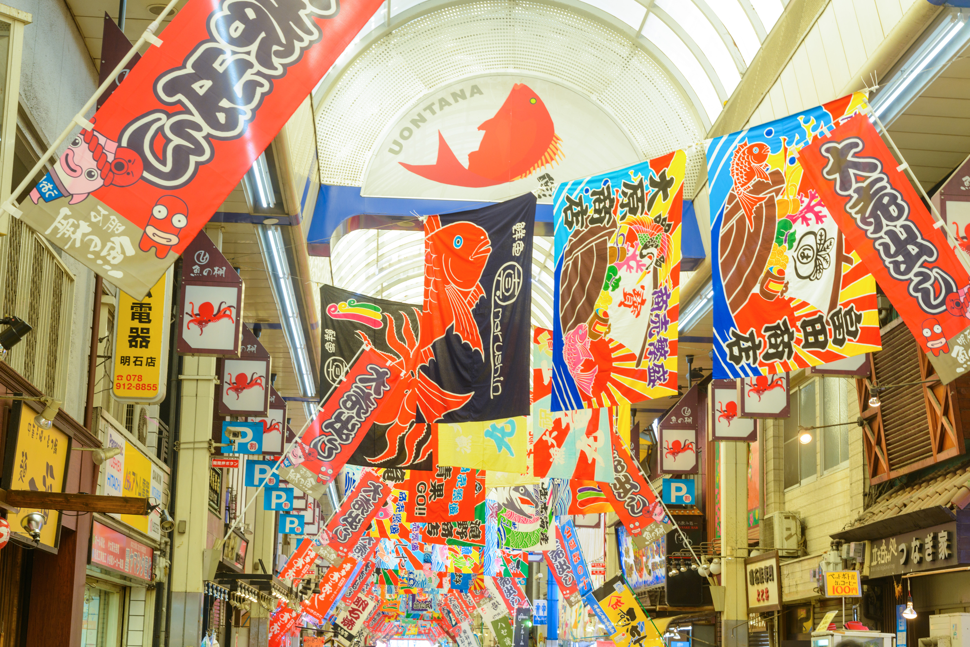 明石市近郊の台所「魚の棚商店街」