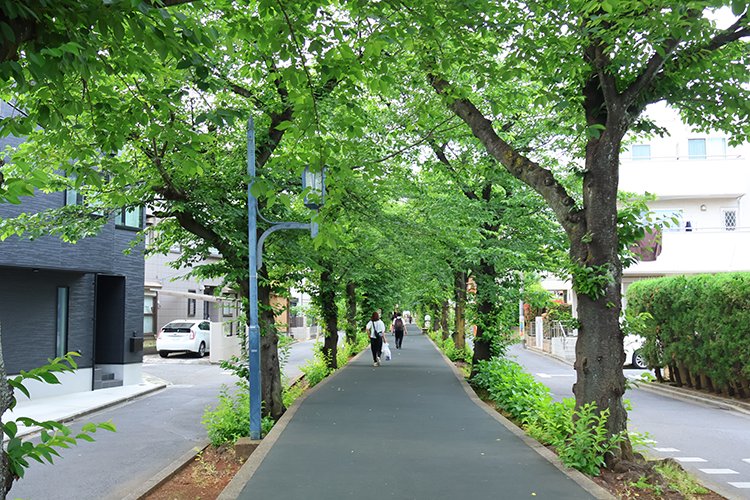 「花と緑の散歩道」新緑の5月は美しい