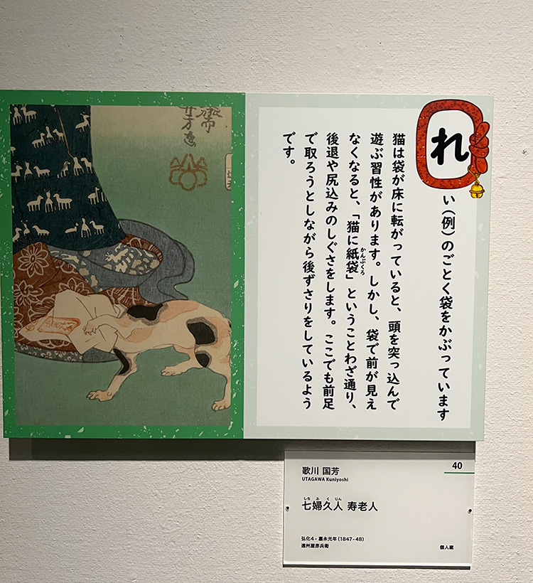 展示風景　「れい（例）のごとく袋をかぶっています」