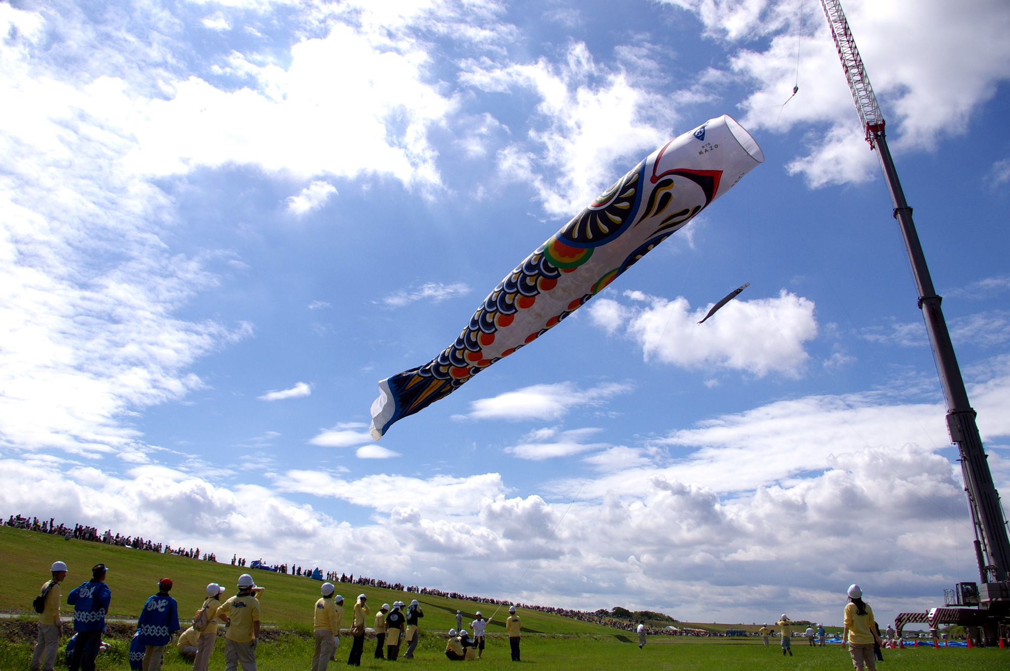 全長100mの「ジャンボ鯉のぼり」が名物